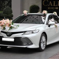 xe hoa camry